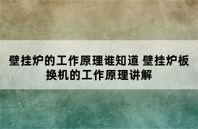 壁挂炉的工作原理谁知道 壁挂炉板换机的工作原理讲解